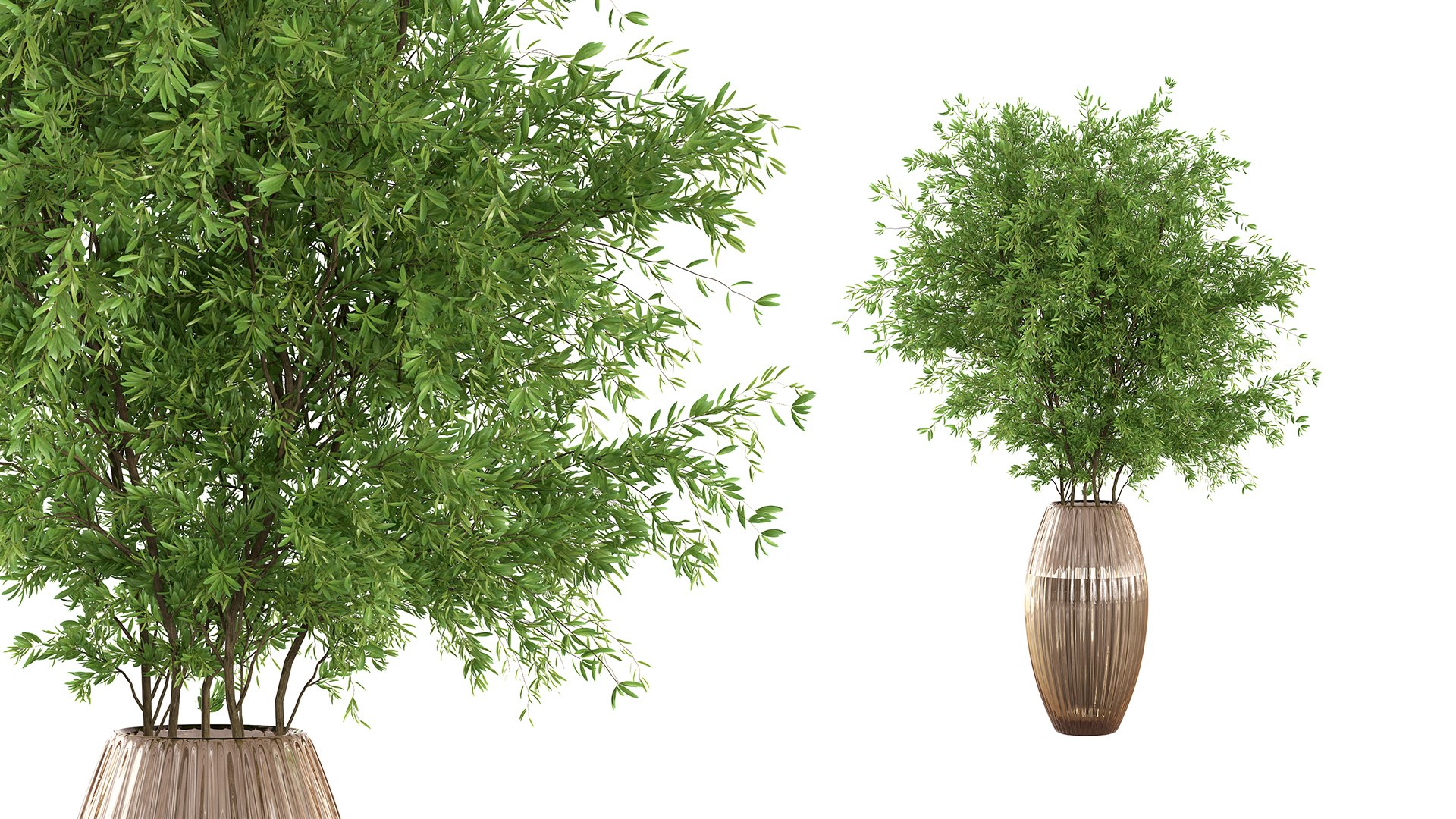 3D Bouquet - Green plant 01 model https://p.turbosquid.com/ts-thumb/5E/8sgPhe/gM/bouquetgreenplant05/jpg/1695932885/1920x1080/fit_q87/8317844a3be727a3683f966e280740f2d2d65606/bouquetgreenplant05.jpg