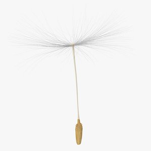 Dandelion Seed