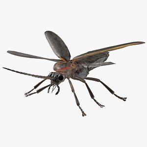 3D model Firefly Fur Rigged