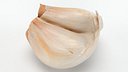 Twin Garlic Clove