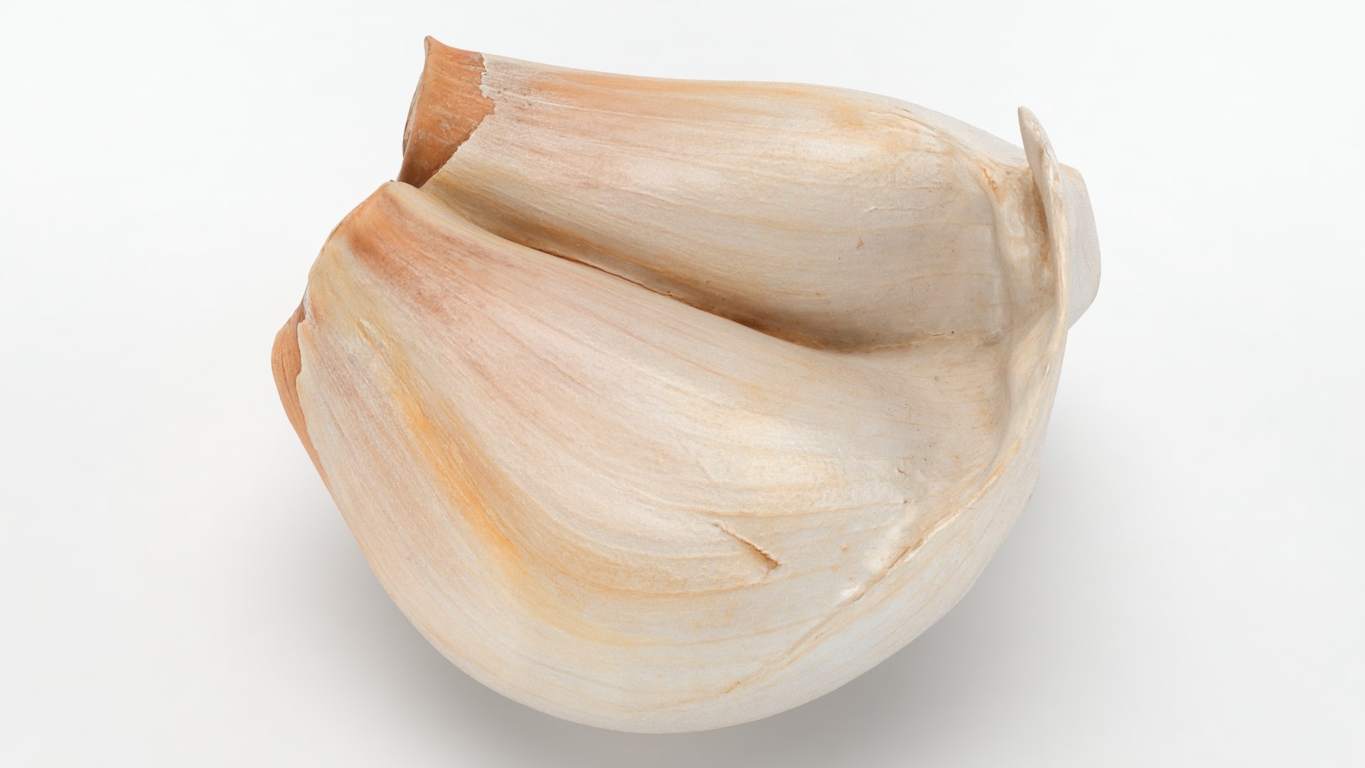 Root Vegetables Collection 3 3D https://p.turbosquid.com/ts-thumb/5E/K3ZMnX/1k/garlicclovetwin_a0001/jpg/1661377361/1920x1080/fit_q87/b3b70f142bc5b77ef93f761787993f92947abe58/garlicclovetwin_a0001.jpg