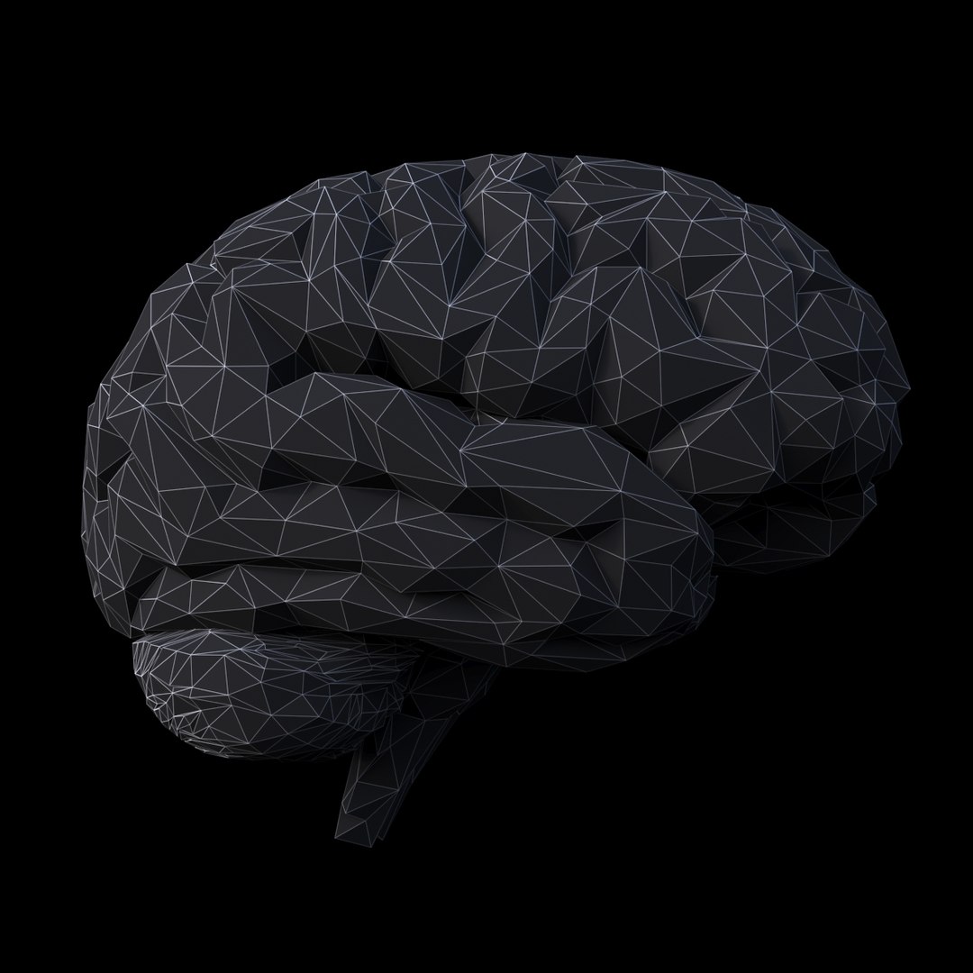 3D brain https://p.turbosquid.com/ts-thumb/5E/LkYwk4/25GOd7Pe/9/jpg/1512415095/1920x1080/fit_q87/30114b38511012746d6880d4cdf5cf051c4e9ff2/9.jpg
