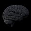 Cerveau Low Poly