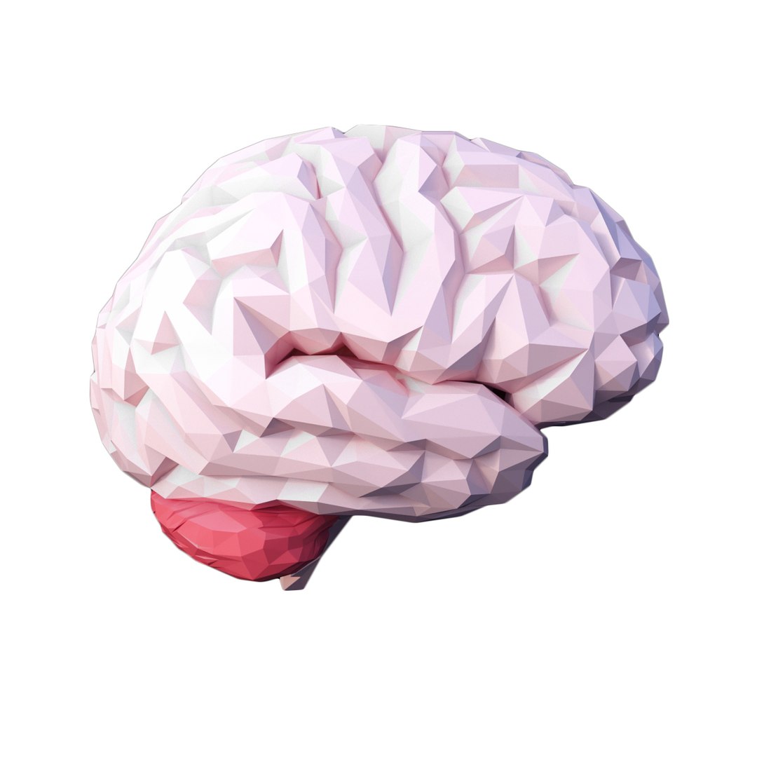 3D brain https://p.turbosquid.com/ts-thumb/5E/LkYwk4/6W6Ic56u/1/jpg/1512415095/1920x1080/fit_q87/756ebfbe84eabce3bcfbf418e7c7c99af8912aed/1.jpg