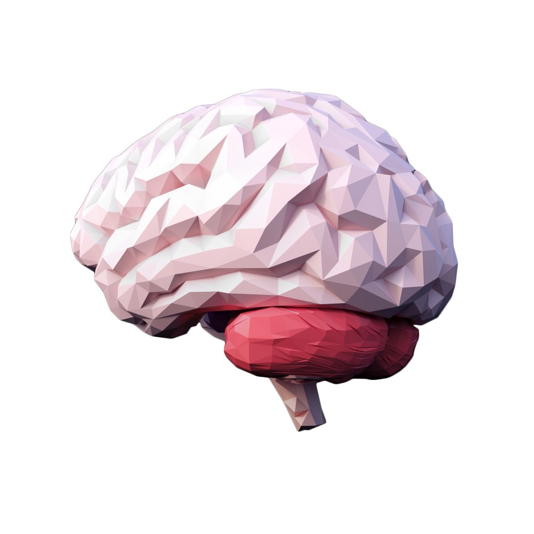 3D brain https://p.turbosquid.com/ts-thumb/5E/LkYwk4/ESfC6De9/4/jpg/1512415095/1920x1080/fit_q87/3ff733490259531dda33c48853e324b59c20a8ce/4.jpg