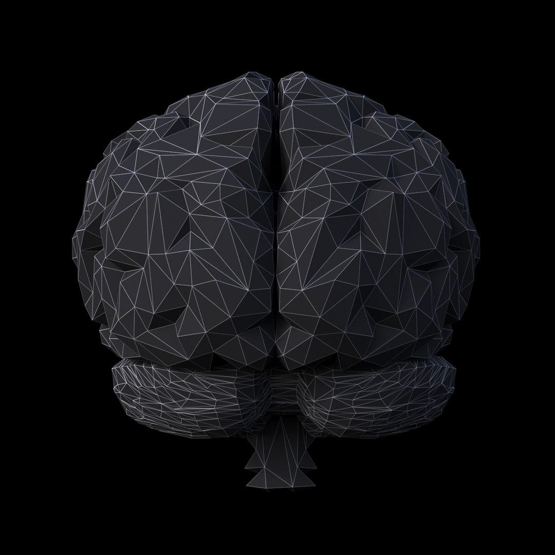 3D brain https://p.turbosquid.com/ts-thumb/5E/LkYwk4/PPUNAl4b/8/jpg/1512415095/1920x1080/fit_q87/56955f61840ab30d78e044d08113b63a30691d5f/8.jpg