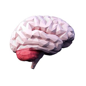 Low Poly Brain