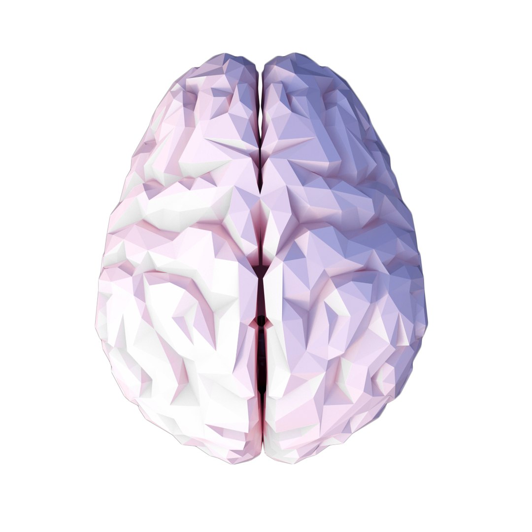 3D brain https://p.turbosquid.com/ts-thumb/5E/LkYwk4/gnH1zK85/7/jpg/1512415095/1920x1080/fit_q87/d7e593990faed241c591ae98f158375aa6206662/7.jpg