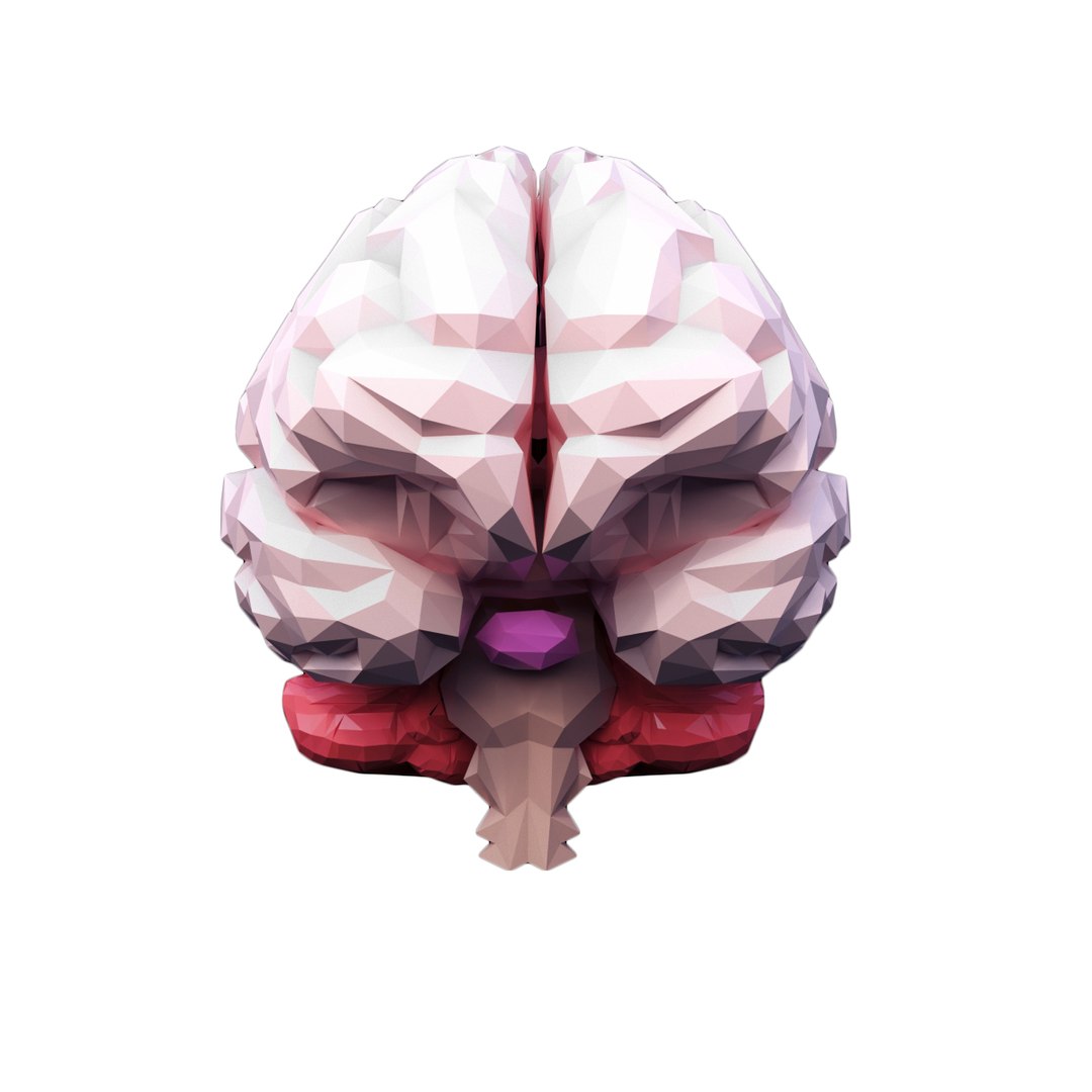3D brain https://p.turbosquid.com/ts-thumb/5E/LkYwk4/lImJOIDo/6/jpg/1512415095/1920x1080/fit_q87/a23be9a38a187fc969c7961245e6649126ac0cb8/6.jpg