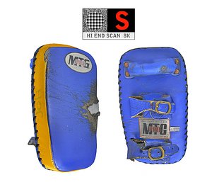 feet training shields 3D