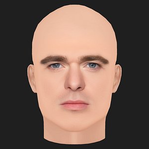 Low Poly Richard Madden Head