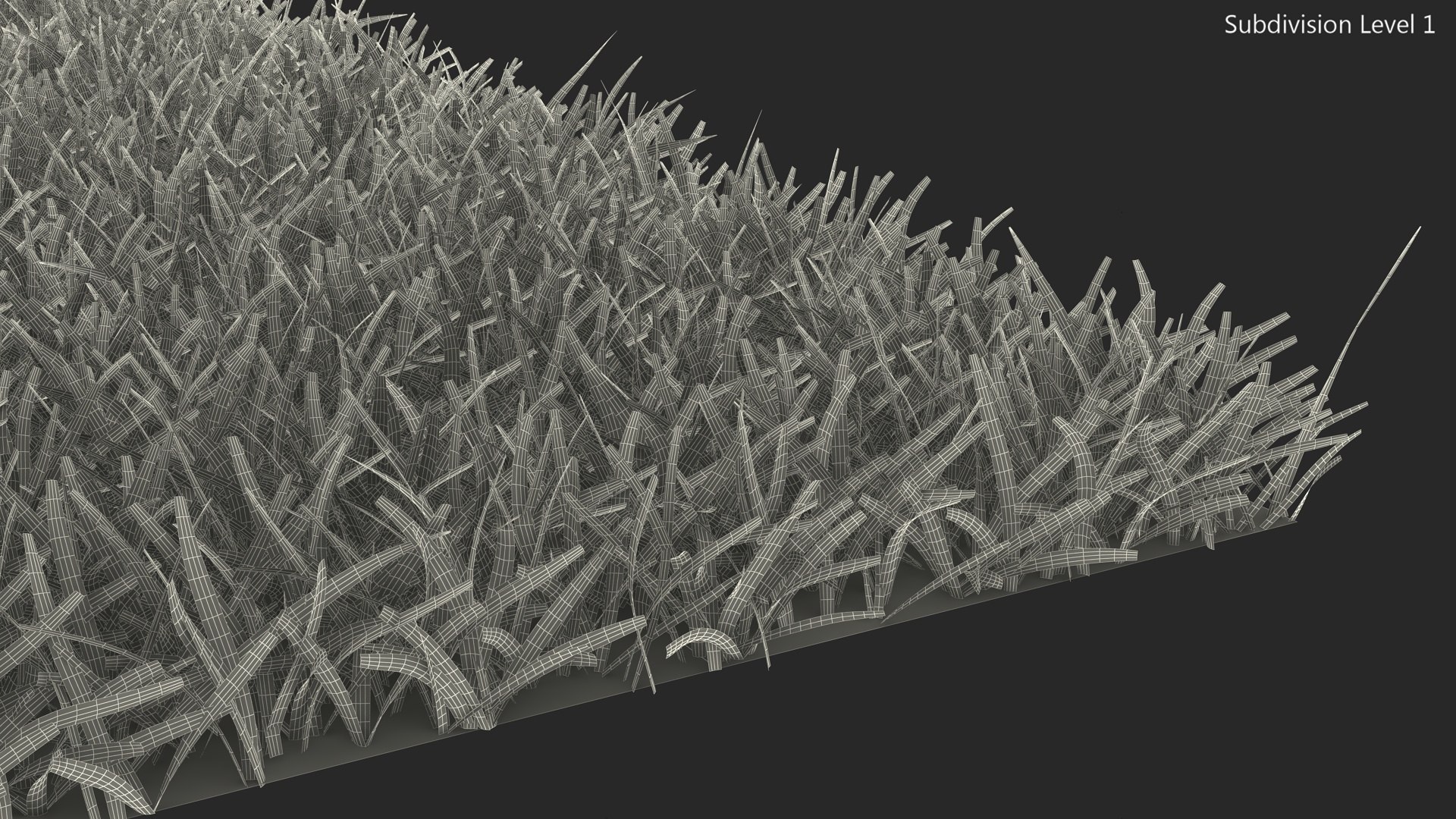 Warm Season Grass 3D model https://p.turbosquid.com/ts-thumb/5E/djqtKQ/JS/warmseasongrass3dsmodel011/jpg/1718648352/1920x1080/fit_q87/fdd9dd5111be431111a8bfbf1fcd85232ea4e3d0/warmseasongrass3dsmodel011.jpg