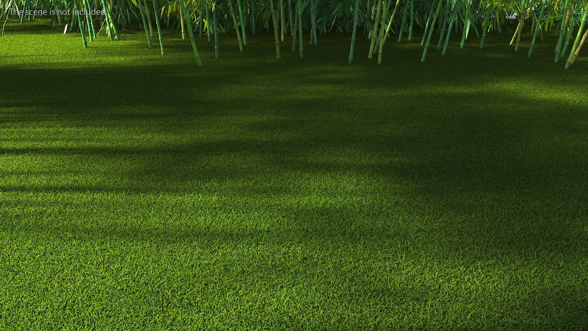 Warm Season Grass 3D model https://p.turbosquid.com/ts-thumb/5E/djqtKQ/L2/warmseasongrass3dsmodel004/jpg/1718648305/1920x1080/fit_q87/d69833c91eb8a446aa3cab33e08390b8fbfe2dd3/warmseasongrass3dsmodel004.jpg