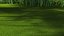 Warm Season Grass