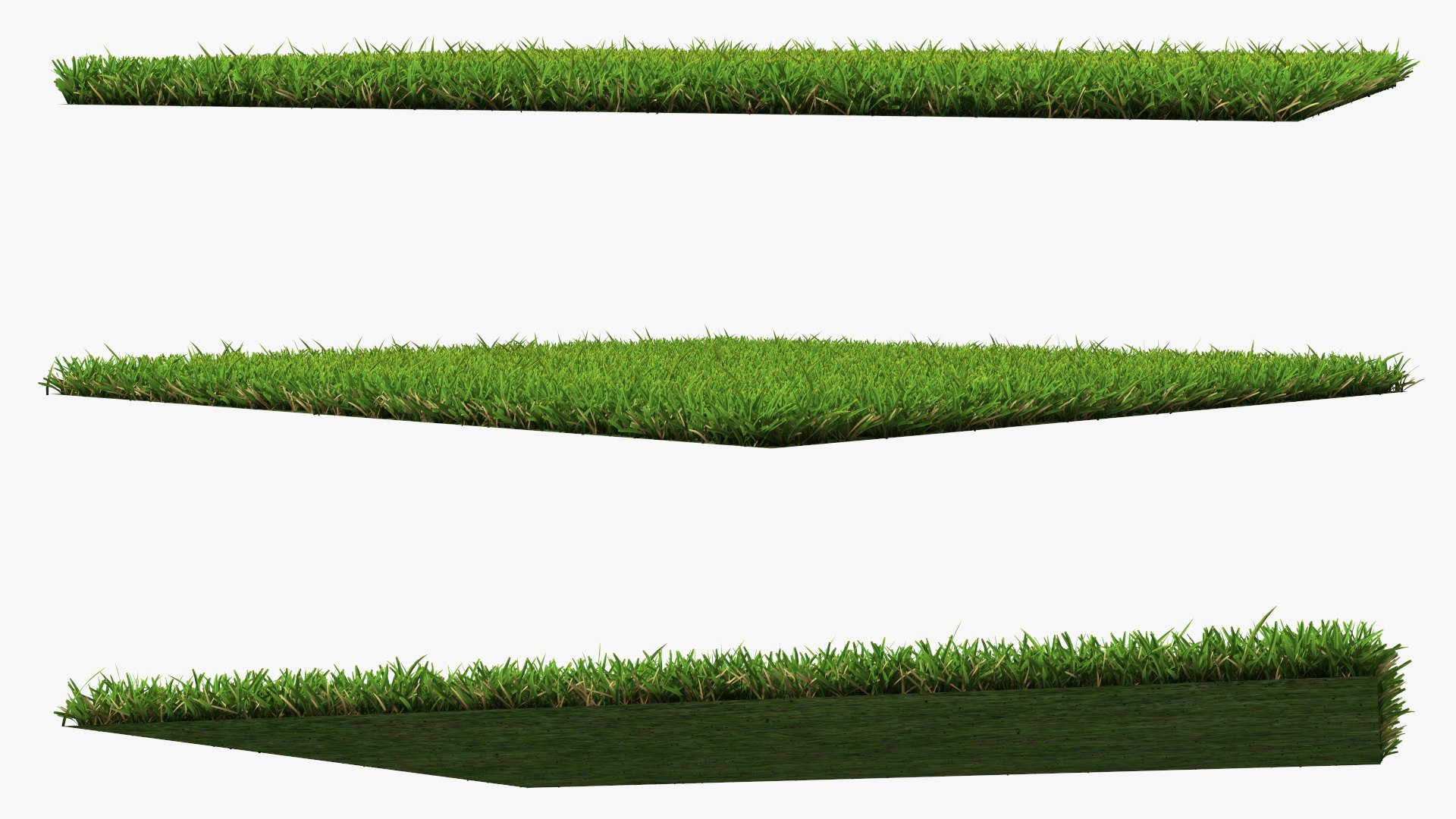 Warm Season Grass 3D model https://p.turbosquid.com/ts-thumb/5E/djqtKQ/N4/warmseasongrass3dsmodel006/jpg/1718648320/1920x1080/fit_q87/12fce4894a0782a579a572d4cf8e9b4d1d8d50d3/warmseasongrass3dsmodel006.jpg
