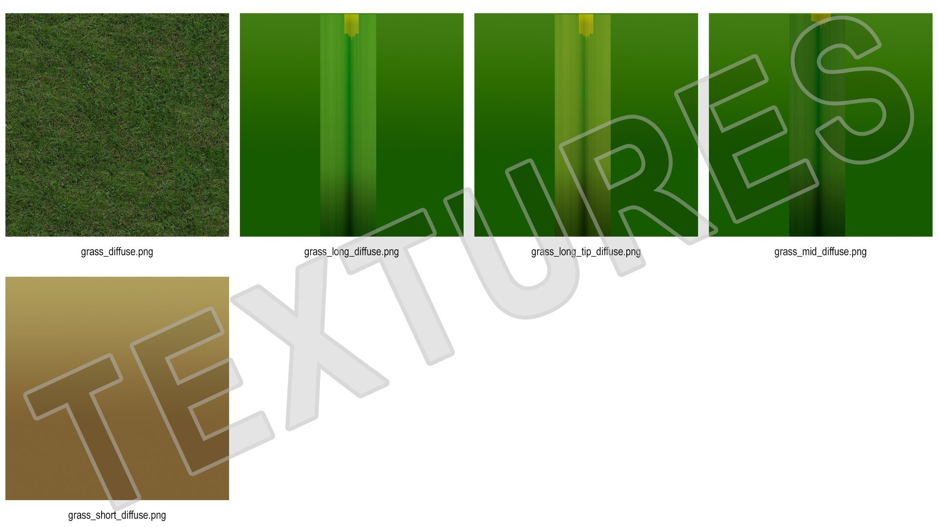 Warm Season Grass 3D model https://p.turbosquid.com/ts-thumb/5E/djqtKQ/RA/warmseasongrass3dsmodel013/jpg/1718648363/1920x1080/fit_q87/357be922351699a797d2d9d047752342a484728e/warmseasongrass3dsmodel013.jpg