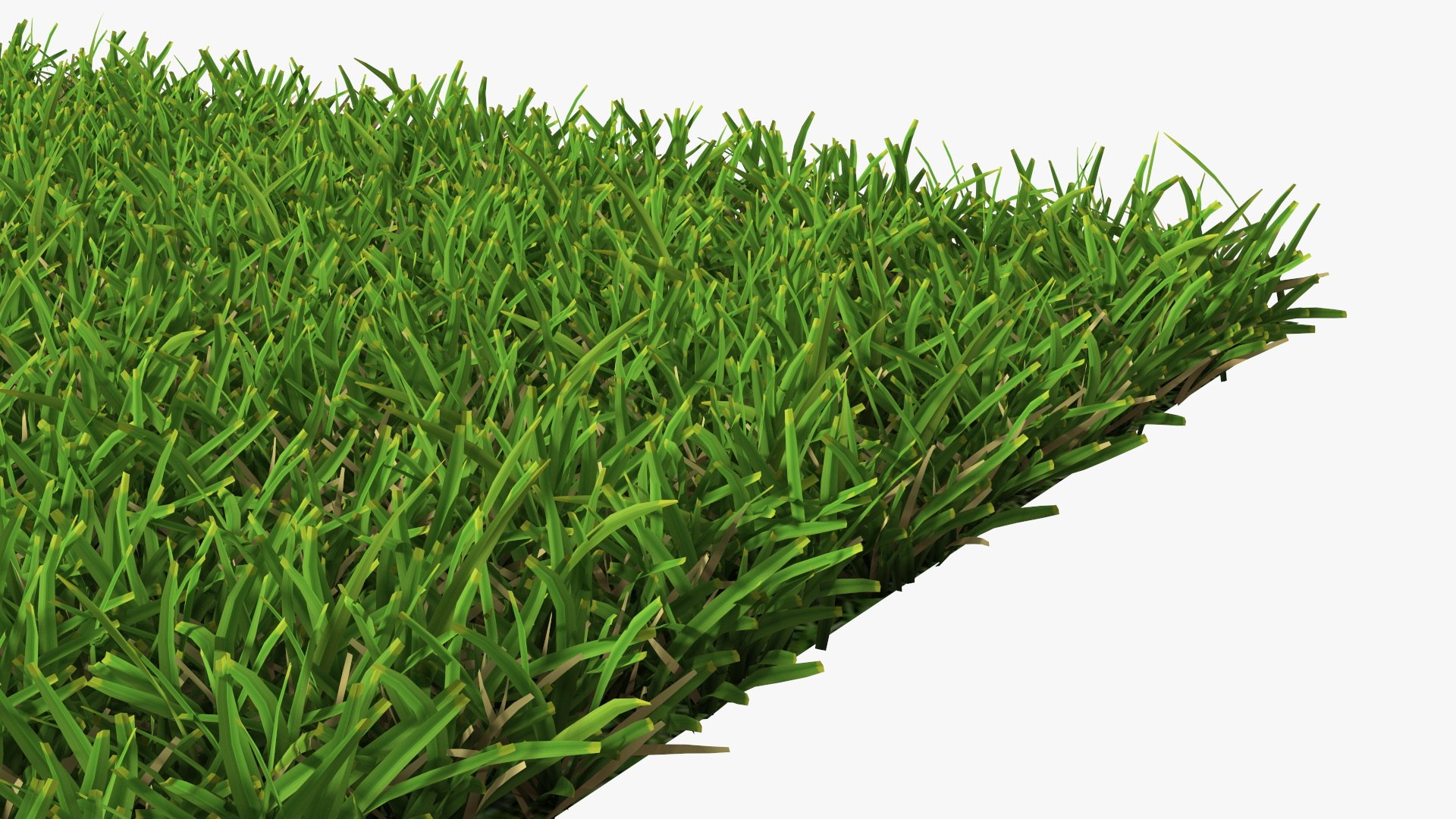 Warm Season Grass 3D model https://p.turbosquid.com/ts-thumb/5E/djqtKQ/Zr/warmseasongrass3dsmodel008/jpg/1718648334/1920x1080/fit_q87/f335540e13f94f8e9788840a7ec7f14cd84de31d/warmseasongrass3dsmodel008.jpg