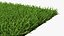 Warm Season Grass