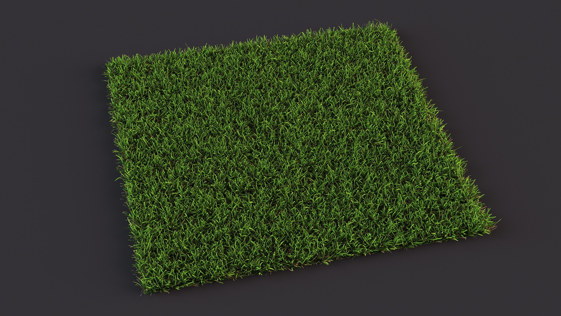 Warm Season Grass 3D model https://p.turbosquid.com/ts-thumb/5E/djqtKQ/aY/warmseasongrass3dsmodel005/jpg/1718648312/1920x1080/fit_q87/b220662842592a9da0375896828997cd0eaea398/warmseasongrass3dsmodel005.jpg