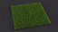 Warm Season Grass
