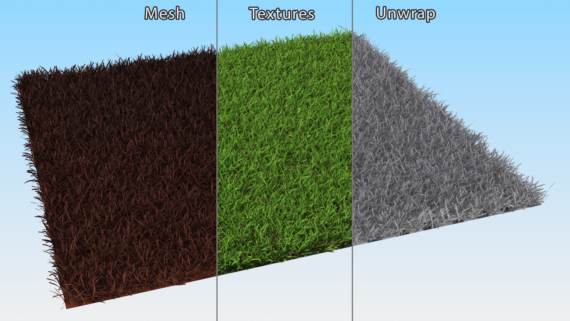 Warm Season Grass 3D model https://p.turbosquid.com/ts-thumb/5E/djqtKQ/ih/warmseasongrass3dsmodel009/jpg/1718648339/1920x1080/fit_q87/6bdb1c8da1b9489f8428aeb008e7ccc8a9432133/warmseasongrass3dsmodel009.jpg