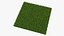 Warm Season Grass
