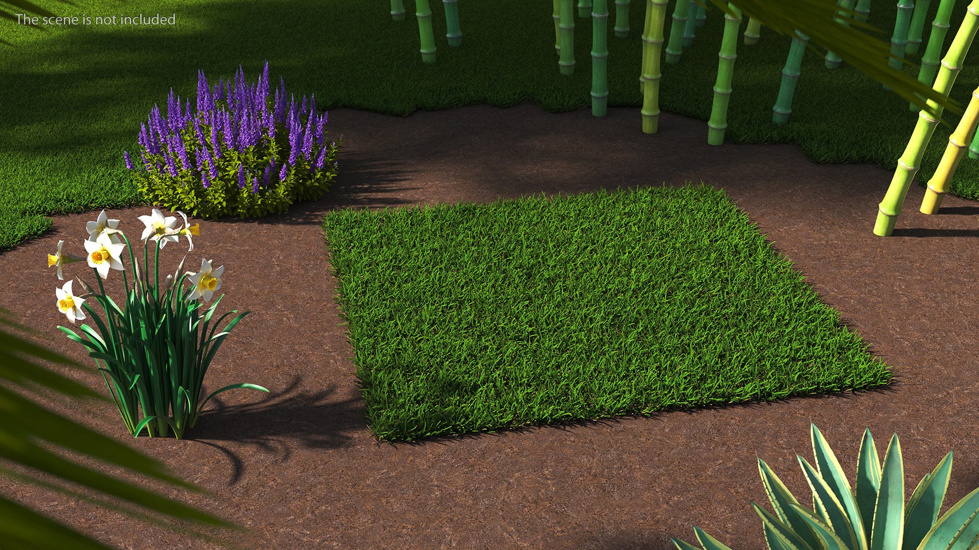 Warm Season Grass 3D model https://p.turbosquid.com/ts-thumb/5E/djqtKQ/mf/warmseasongrass3dsmodel002/jpg/1718648292/1920x1080/fit_q87/38a3884f3f4429d8f8031ad71121796ffc18a03b/warmseasongrass3dsmodel002.jpg