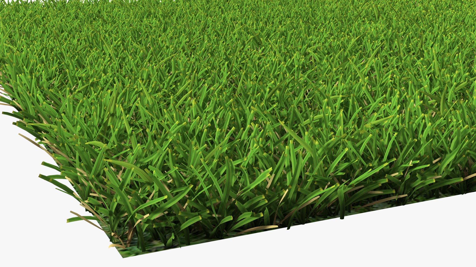 Warm Season Grass 3D model https://p.turbosquid.com/ts-thumb/5E/djqtKQ/po/warmseasongrass3dsmodel007/jpg/1718648327/1920x1080/fit_q87/2b36cf385fc0da6a3c042b904202906cafda7583/warmseasongrass3dsmodel007.jpg
