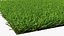 Warm Season Grass