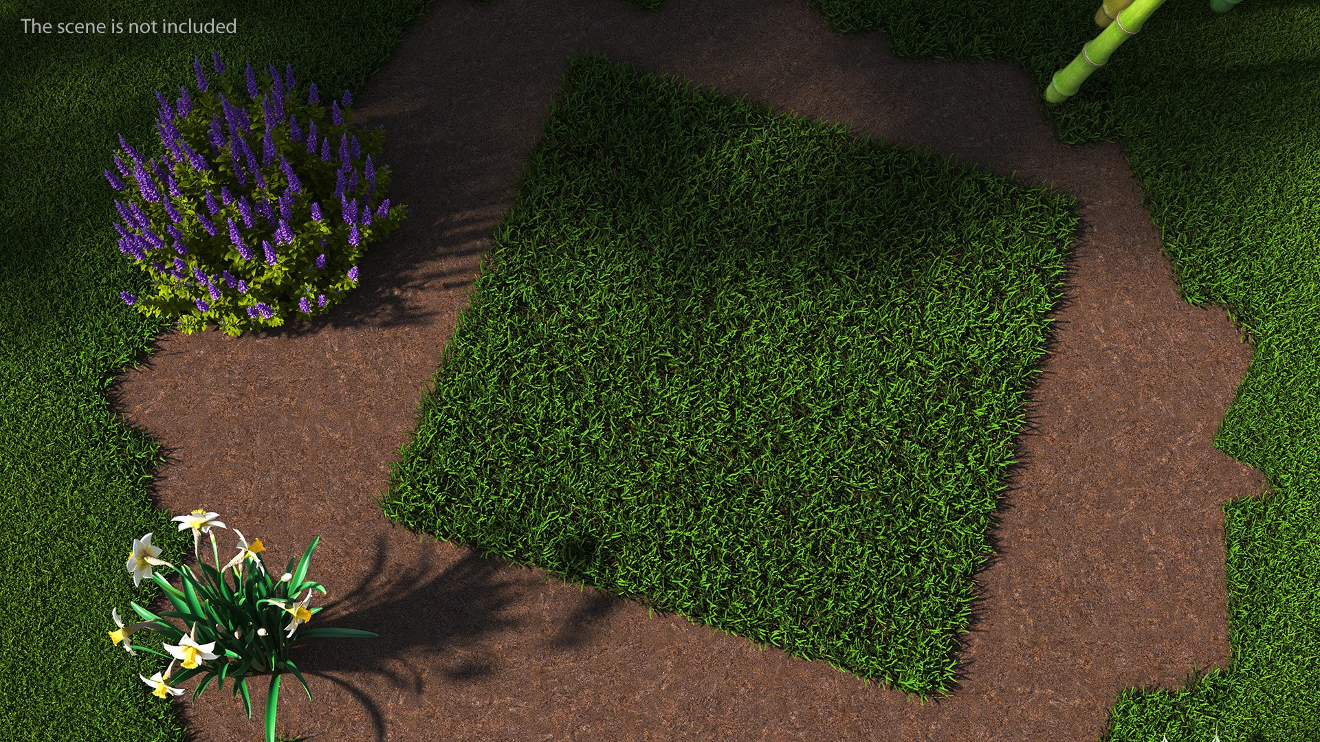 Warm Season Grass 3D model https://p.turbosquid.com/ts-thumb/5E/djqtKQ/yS/warmseasongrass3dsmodel003/jpg/1718648299/1920x1080/fit_q87/ad0df08c7f19f79443edc607322c1f0e3aeaf2cc/warmseasongrass3dsmodel003.jpg