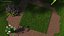Warm Season Grass