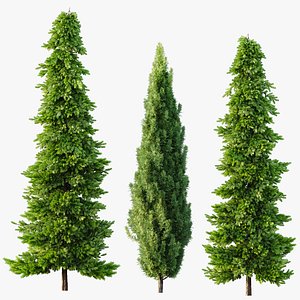 AV Spruce and Mediterranean Cypress 3Trees 3D