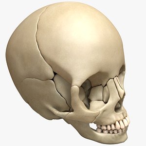 obj human deformed head skull