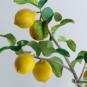 bottle lemon branch flowers 3d model