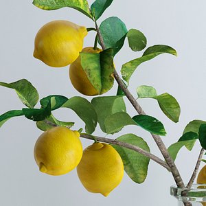 Lemon branch