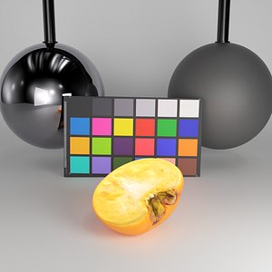 half persimmon 3D