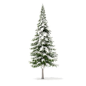 Fir Tree with Snow 3D Model 10m