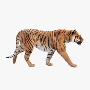 Tiger Animated Unreal Engine Maya Base Rig