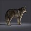 3d wolves v2 wolf model