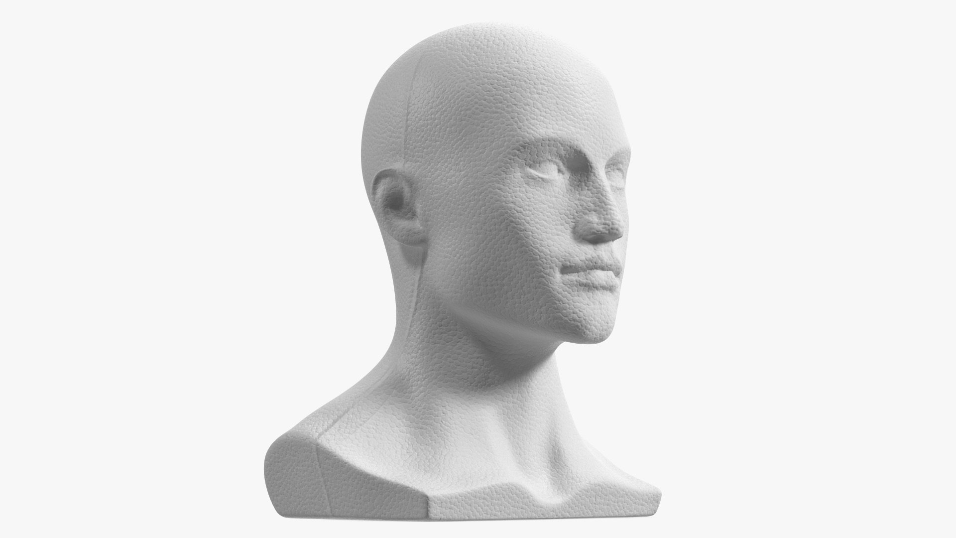 Styrofoam Male Mannequin Head White 3D model preview