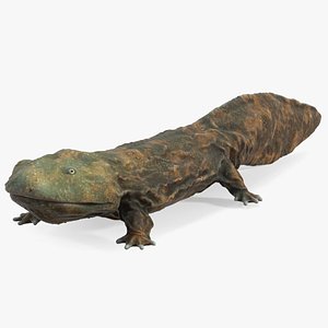 Chinese Giant Salamander Light