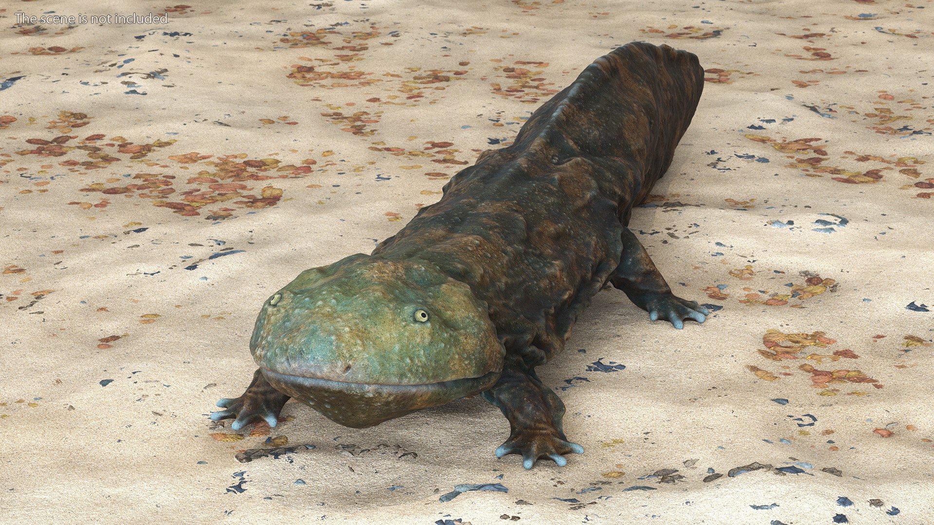 Chinese Giant Salamander Light 3D Model - TurboSquid 2232362