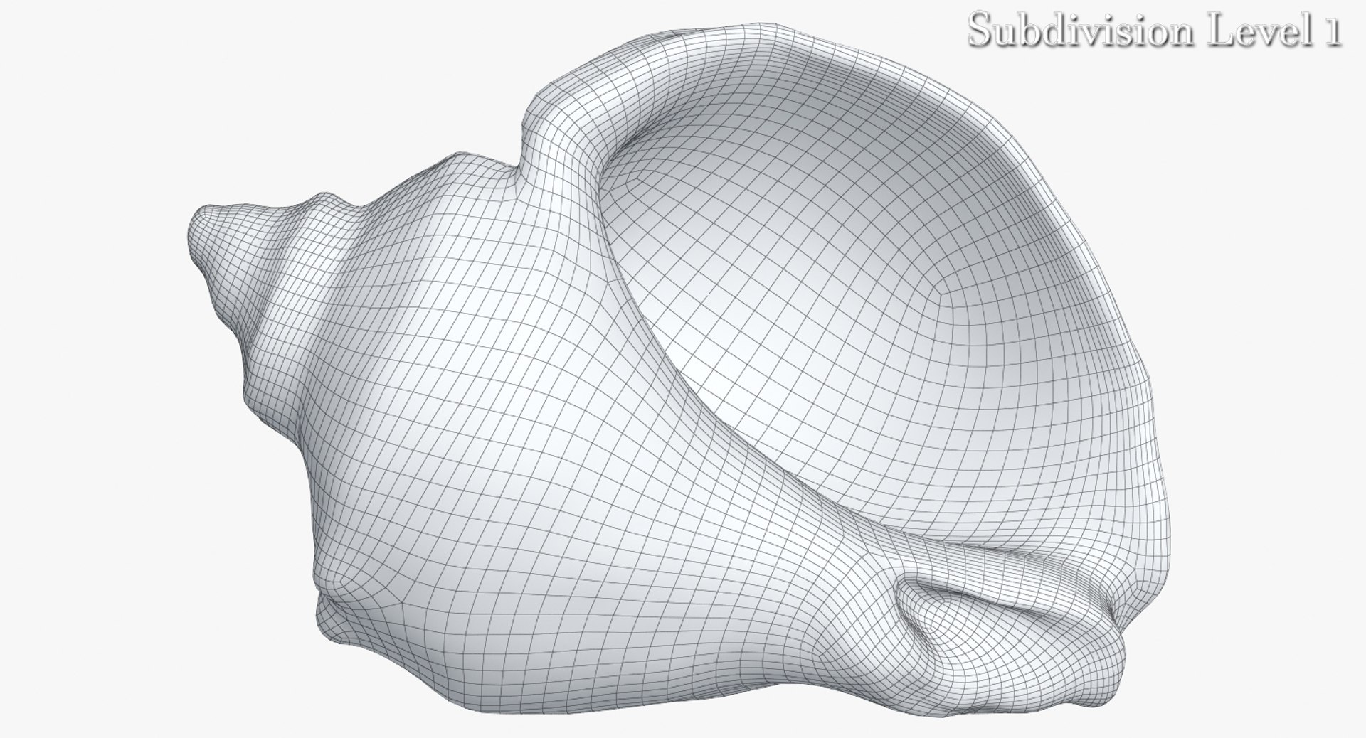 3d model rapana shell https://p.turbosquid.com/ts-thumb/5F/ejLGLh/AOjKTujC/camera002_wiresds1001/jpg/1447436573/1920x1080/fit_q87/0a30f2cc19c232975c2eb8d1d1c571b724b18ed7/camera002_wiresds1001.jpg