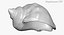 Rapana Shell
