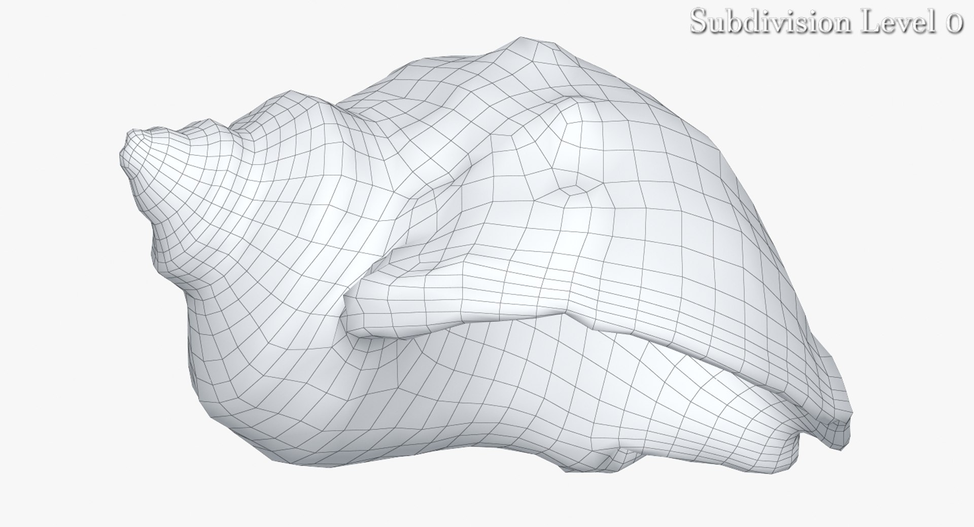 3d model rapana shell https://p.turbosquid.com/ts-thumb/5F/ejLGLh/fmBr77AK/camera006_wiresds0001/jpg/1447436630/1920x1080/fit_q87/0e3883a40adf67533aa8e9dd092344712f8f4e2c/camera006_wiresds0001.jpg