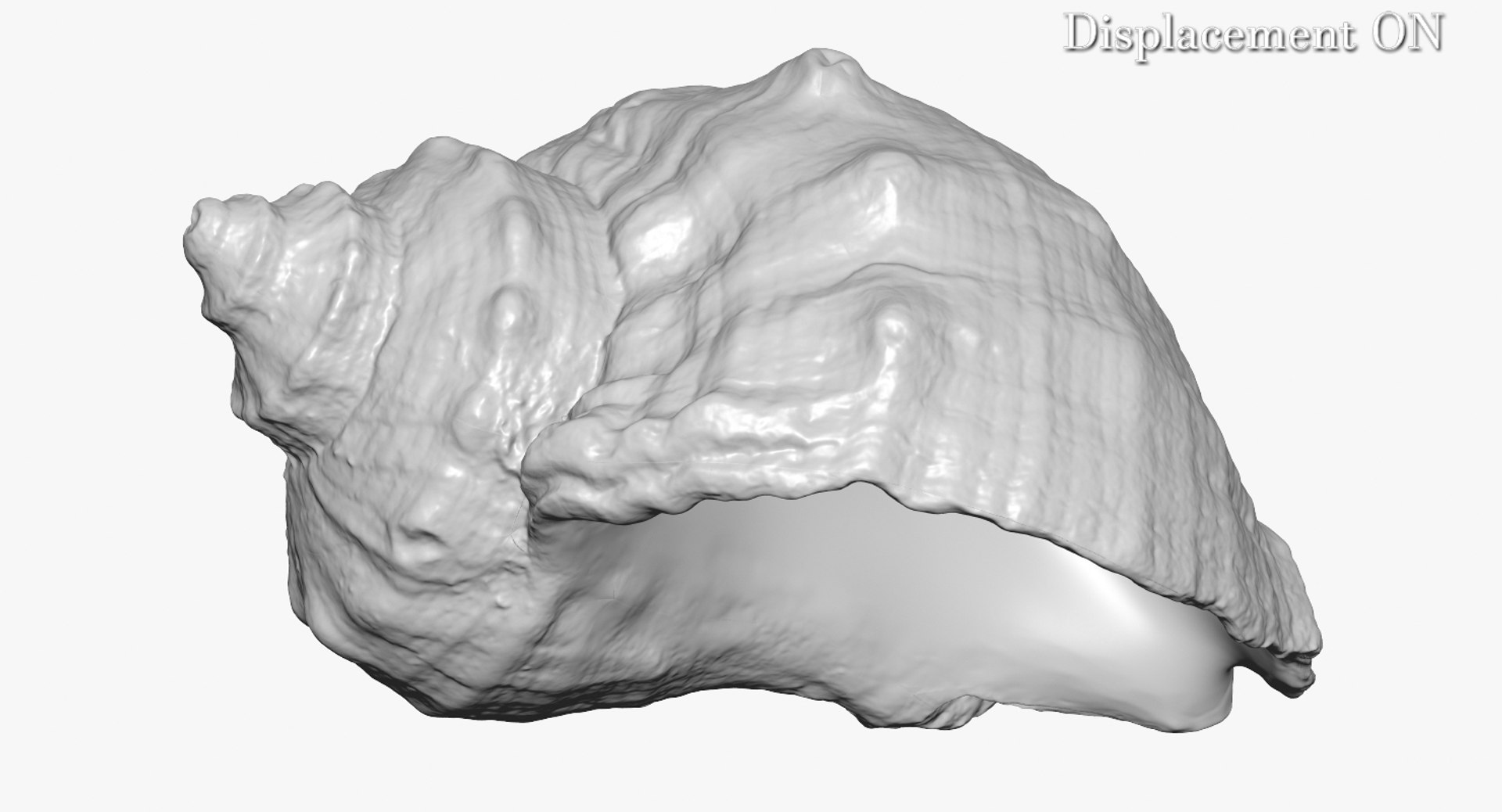3d model rapana shell https://p.turbosquid.com/ts-thumb/5F/ejLGLh/jKvnRxTh/camera006_displaceon001/jpg/1447436630/1920x1080/fit_q87/3bad8bccc08386774437b8ffd988023924834c0a/camera006_displaceon001.jpg