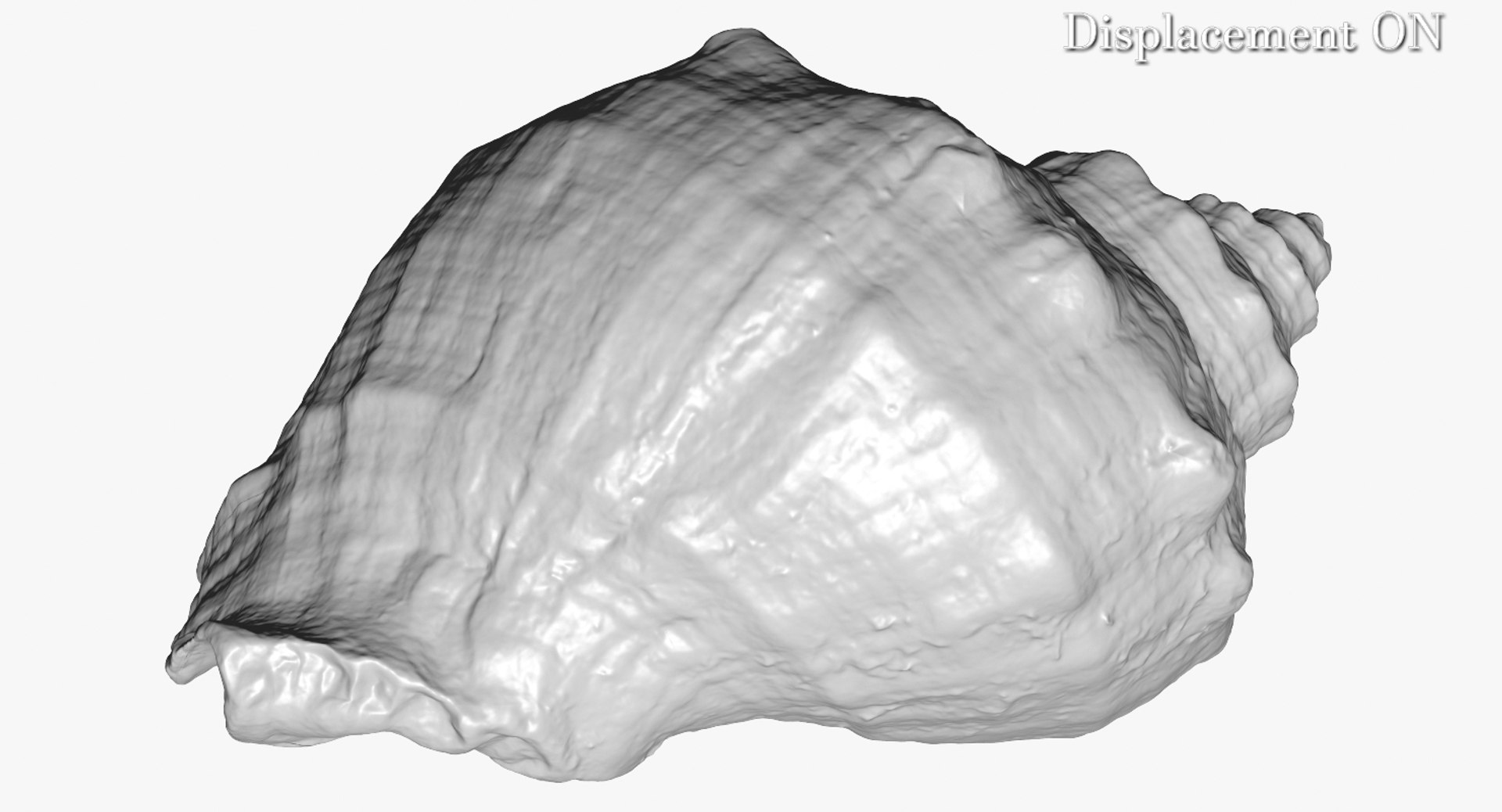 3d model rapana shell https://p.turbosquid.com/ts-thumb/5F/ejLGLh/oDCgXC9e/camera005_displaceon001/jpg/1447436630/1920x1080/fit_q87/fc84377361078c5a6b9685e861eb3f6f99de2c73/camera005_displaceon001.jpg