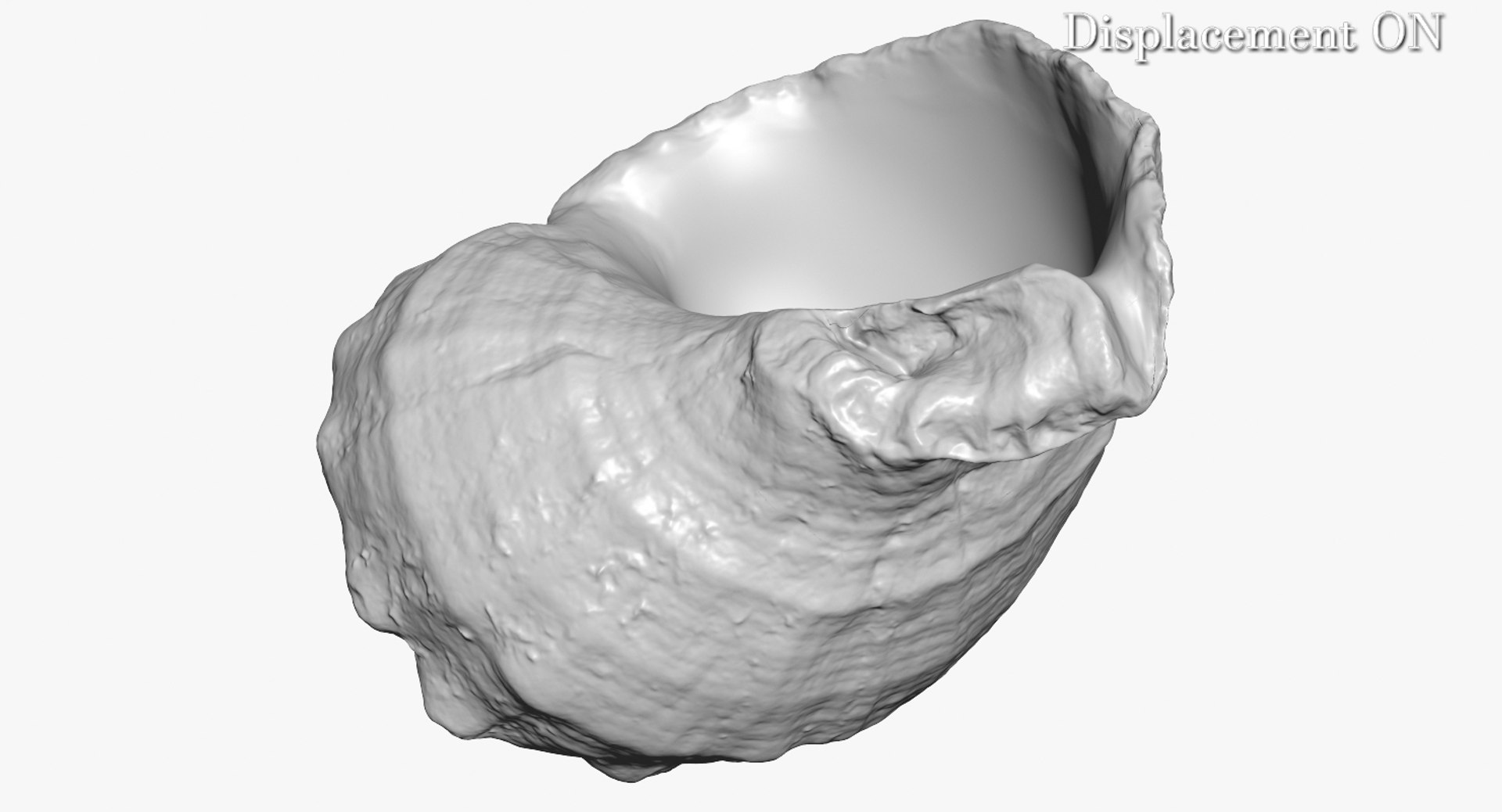 3d model rapana shell https://p.turbosquid.com/ts-thumb/5F/ejLGLh/x3iIGyrg/camera001_displaceon001/jpg/1447436573/1920x1080/fit_q87/a43ac1a3a0b74dd3b148dd9129b44c0b9f061be5/camera001_displaceon001.jpg