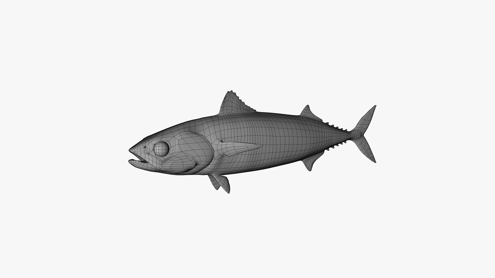 Atlantic Mackerel 3D TurboSquid 2052123