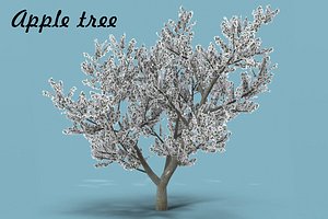 3D flowering apple tree